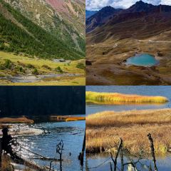 Dormito Cafe User Photo