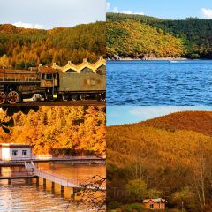 SU SHI TIAN FU User Photo