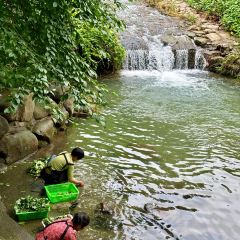 CLOUD RESTAURANT User Photo