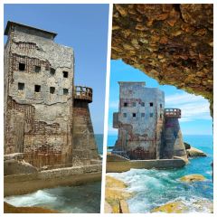 TIANCHENG NEST,SHARK-FINE&ABALONE User Photo