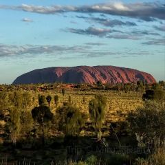 Ayers Wok Noodle Bar User Photo