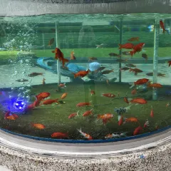 塘桥老哥·常州菜(江南环球港店) User Photo