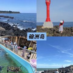 四爹簸箕炊(步行街店) User Photo