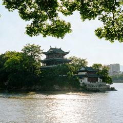 Run Fenghe Beef Offal User Photo