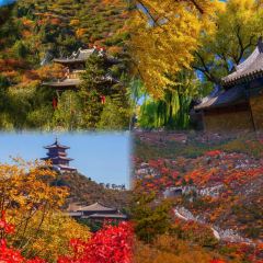 清和元(五龙口街店) User Photo