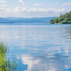 老字号·九宫土菜馆(一店) 여행 사진