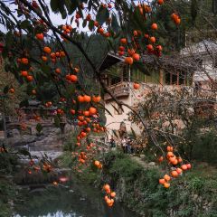 拾光餐集(东壁村店) User Photo