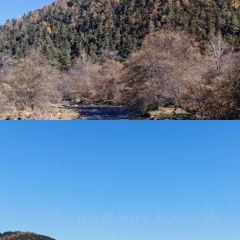 MIN ZHU LA MU TIBET RESTAURANT 여행 사진