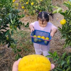 明味生態農莊張用戶圖片