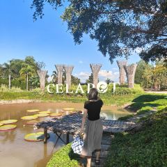 Celapot Café x Gallery เซลาพอต คาเฟ่ ครอส แกลลอรี่ ศิลาดล User Photo