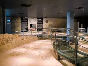 Zeugma Mosaics Museum