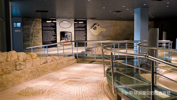 Zeugma Mosaics Museum