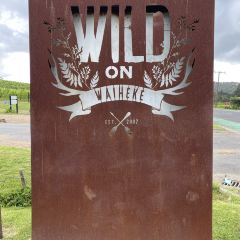 Wild on Waiheke Activities User Photo