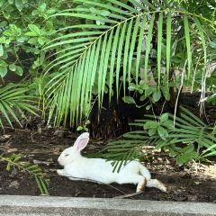 Woodberry Cafe User Photo