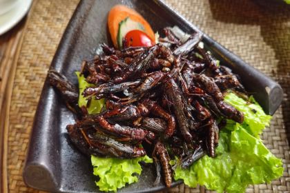 品德宏·孔雀宴(傣族古镇店)