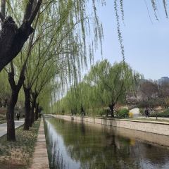 JARAGOU(TianYi Plaza) User Photo