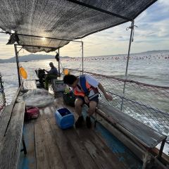 渔舟畅晚_出海捕鱼 User Photo