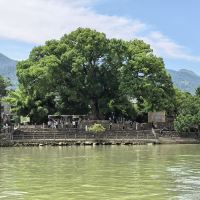評論圖片 1