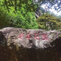 評論圖片 4