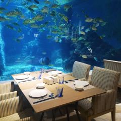 三亚亚龙湾迎宾馆·海洋主题海蓝餐厅 User Photo
