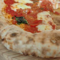 Saliey Garden User Photo