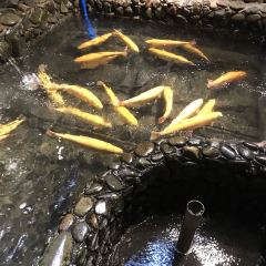 壹湖两岸民间菜·三文鱼 User Photo