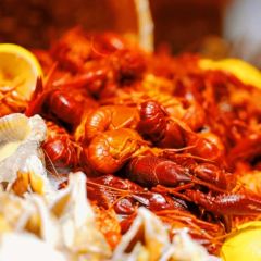 Feast User Photo