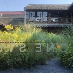 一尺花园(南园店) User Photo