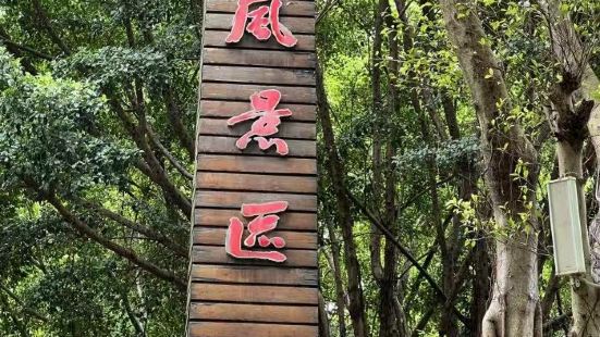 园山风景区，人称小张家界，位于深圳横岗。景区环境很好，有山有