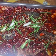 龙虎大院 User Photo
