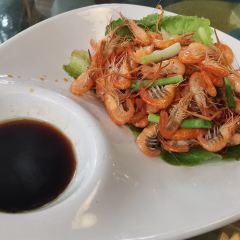 乌老庄农业生态园 User Photo