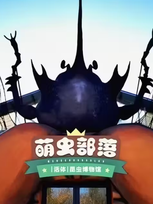 P.tianschanicus（1メス、中国新疆省ウルムチ） P.tianschanicus（1メス、中国新疆省ウルムチ）