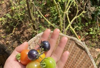 GEORO COFFEE BAR User Photo