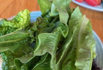 Xue Jing Ge Restaurant User Photo