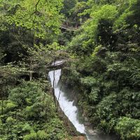 評論圖片 3