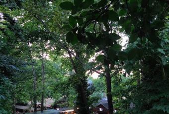 Derebahçe Restaurant用戶圖片