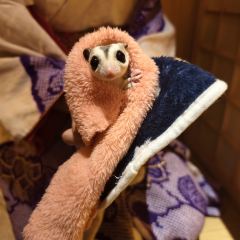 YAMA TSUKI User Photo