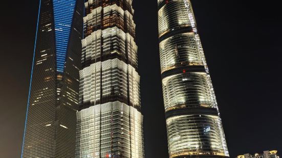 陆家嘴,上海的一颗璀璨明珠,以其繁华的金融商务区而闻名于世。