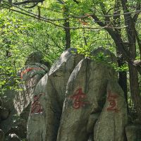 評論圖片 7
