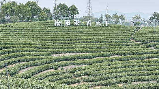 我們去的時候因為是1月，所以天氣比較冷。如果是春天或者秋天的