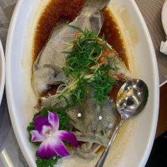 琼菜之家(金鹿花园店) User Photo
