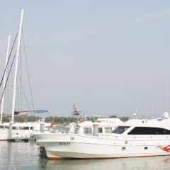 望海阁·海鲜舫(万平口景区店) User Photo