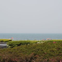 望海阁·海鲜舫(万平口景区店) User Photo