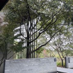Xi Yin ảnh của người dùng