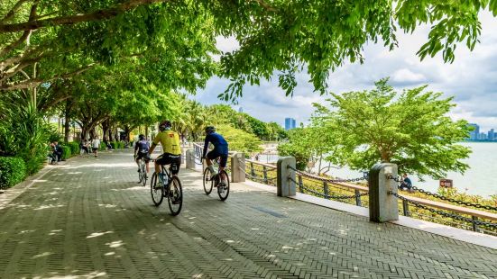 深圳湾公园面朝大海，一望无际，公园里绿树成荫，空气清新，负离
