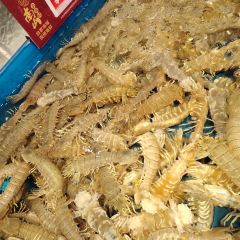 Nan Shan Xiao Yu Cun 여행 사진