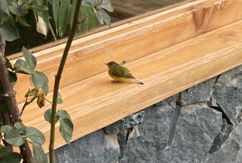 GEORO COFFEE BAR User Photo