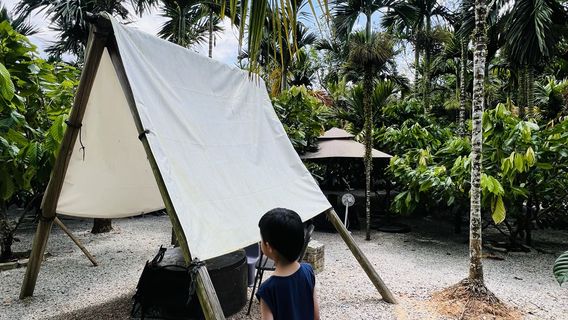 Treeco Cocoa Plantation