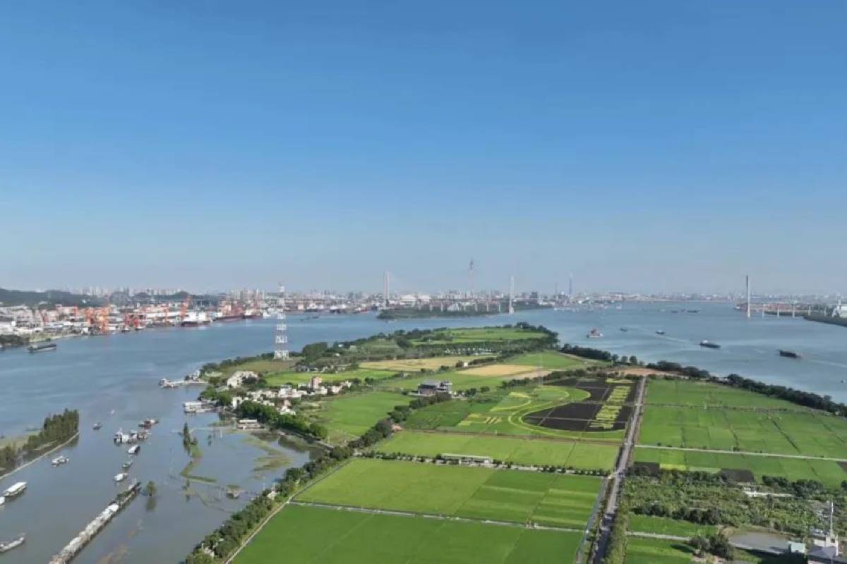 廣州海島 | 大吉沙島 (Dajisha Island)