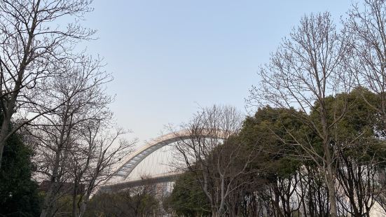 卢浦大桥是黄浦江上第二座斜拉索桥,拱形桥顶,很漂亮。卢浦大桥